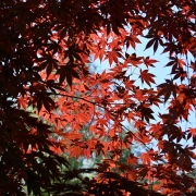 Licht und Schatten (c) Renate Romanus