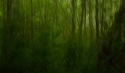 Licht und Schatten (c) Andrea Hermann