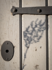 Schatten und Licht (c) Astrid Padberg
