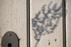 Schatten und Licht (c) Astrid Padberg