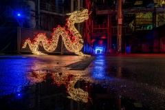 Magie des Lichts (c) Andreas Otto