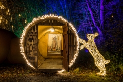 Magie des Lichts (c) Andreas Otto