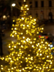 Magie des Lichts (c) Annette Ulrich