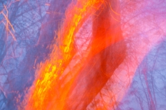 Winterleuchten (c) Astrid Padberg