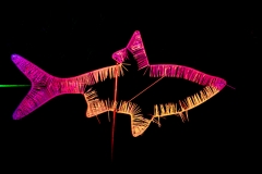 Winterleuchten (c) Astrid Padberg