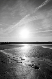 Texel (c) Ina Herzig