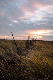 Texel (c) Ina Herzig