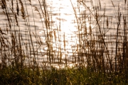 Texel (c) Ina Herzig
