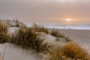 Texel (c) Ina Herzig