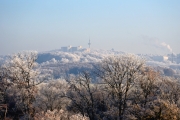 Winterlicher Morgen (c) Ulrike Kaulfuß