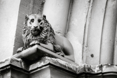 Details (c) Andreas Otto