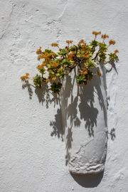 Minimalismus (c) Hans Georg Bein