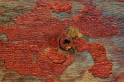 Details (c) Gerd Baumann