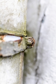 Details (c) Ina Herzig