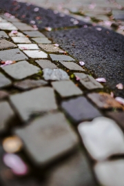 Details (c) Ina Herzig