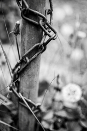 Details (c) Ina Herzig