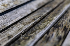 Details (c) Ina Herzig