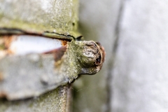Details (c) Ina Herzig