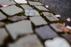 Details (c) Ina Herzig