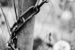 Details (c) Ina Herzig