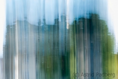 Spiegelung (gewischt, mehrfach) (c) Astrid Padberg