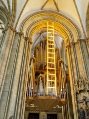 Münster (c) Annette Ulrich