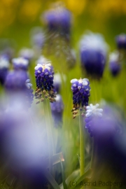 Botanischer Garten (c) Astrid Padberg