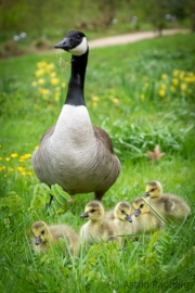 Botanischer Garten (c) Astrid Padberg