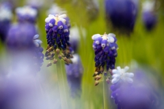 Botanischer Garten (c) Astrid Padberg