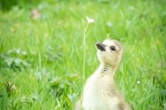 Botanischer Garten (c) Astrid Padberg