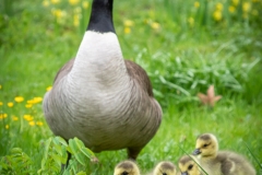 Botanischer Garten (c) Astrid Padberg