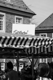 Münster (c) Ina Herzig