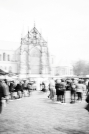 Münster (c) Ina Herzig