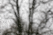 Nass, Blick aus dem Fenster (c) Astrid Padberg