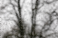 Nass, Blick aus dem Fenster (c) Astrid Padberg