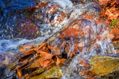 Nass, an der Dhünn (c) Detlef Buxmann