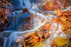 Nass, an der Dhünn (c) Detlef Buxmann