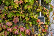Natur trifft Mensch (c) Andreas Otto
