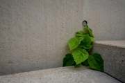 Natur trifft Mensch (c) Andreas Otto