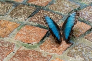 Natur trifft Mensch (c) Andreas Otto