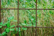 Natur trifft Mensch (c) Andreas Otto