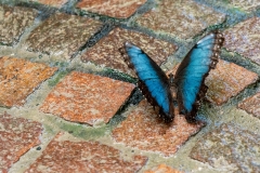 Natur trifft Mensch (c) Andreas Otto