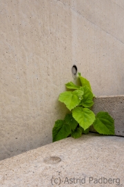 Natur trifft Mensch (c) Astrid Padberg