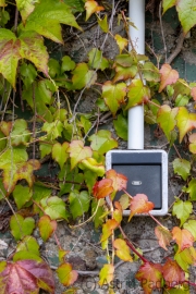 Natur trifft Mensch (c) Astrid Padberg