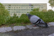 Natur trifft Mensch (c) Astrid Padberg