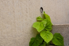 Natur trifft Mensch (c) Astrid Padberg