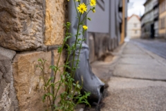 Natur trifft Mensch (c) Astrid Padberg