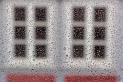 Natur trifft Mensch (c) Astrid Padberg