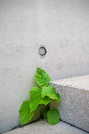 Natur trifft Mensch (c) Detlef Buxmann