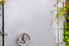 Natur trifft Mensch (c) Detlef Buxmann